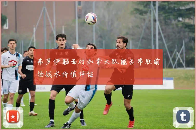 弗罗伊勒面对加拿大队能否串联前场战术价值评估
